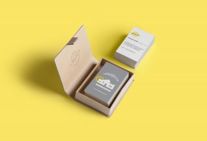 identité visuelle limonade and co par camille garnier