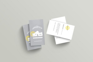 identité visuelle limonade and co par camille garnier