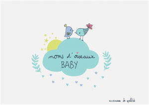 noms d'oiseaux baby