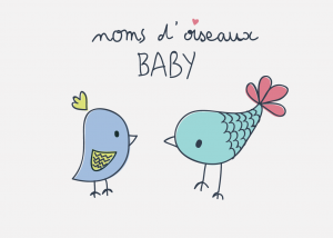 logo noms d'oiseaux baby par camille garnier