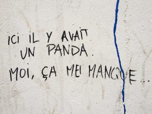 camille garnier graphiste