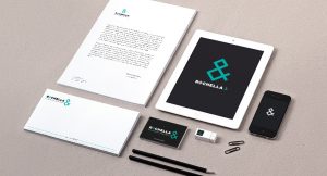 charte graphique rochella immobilier
