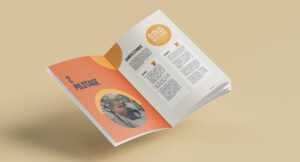conception graphique du guide D-CLIC Occitanie par Camille Garnier