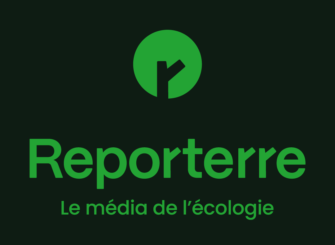 logo reporterre par camille garnier graphiste freelance