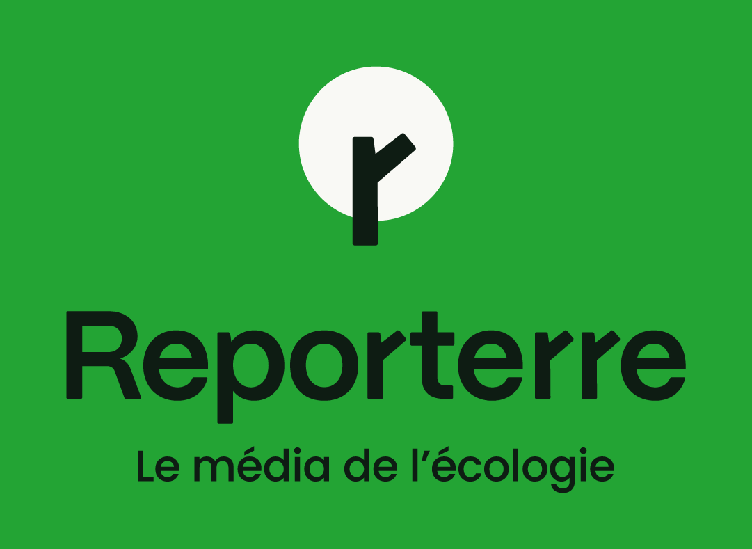 logo reporterre par camille garnier graphiste freelance