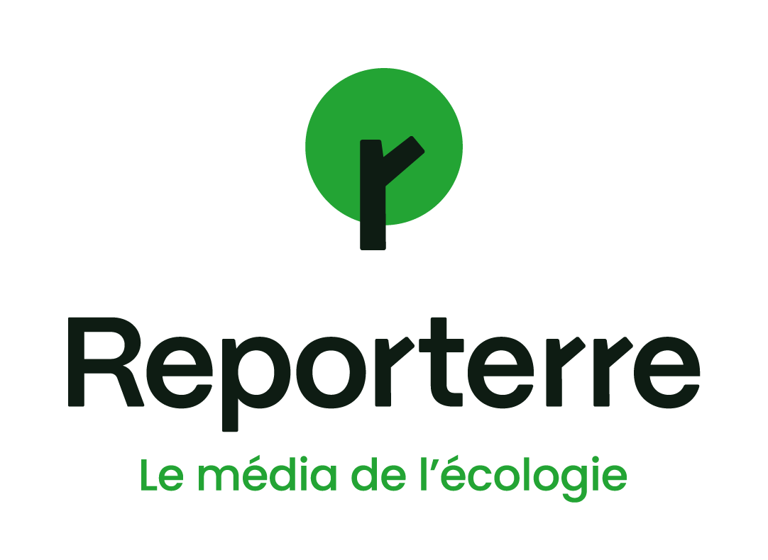 logo reporterre par camille garnier graphiste freelance