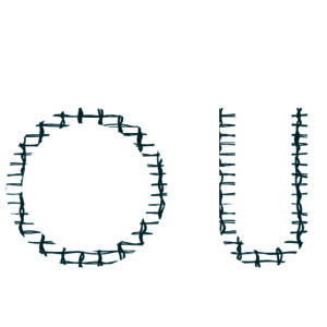 recherches graphiques pour le logo de l'agence Ourse par camille garnier