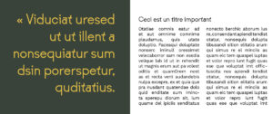 TYPOGRAPHIE OURSE par camille garnier