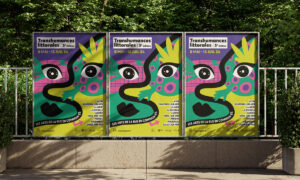 visuel des transhumances littorales 2024 par Camille Garnier graphiste freelance