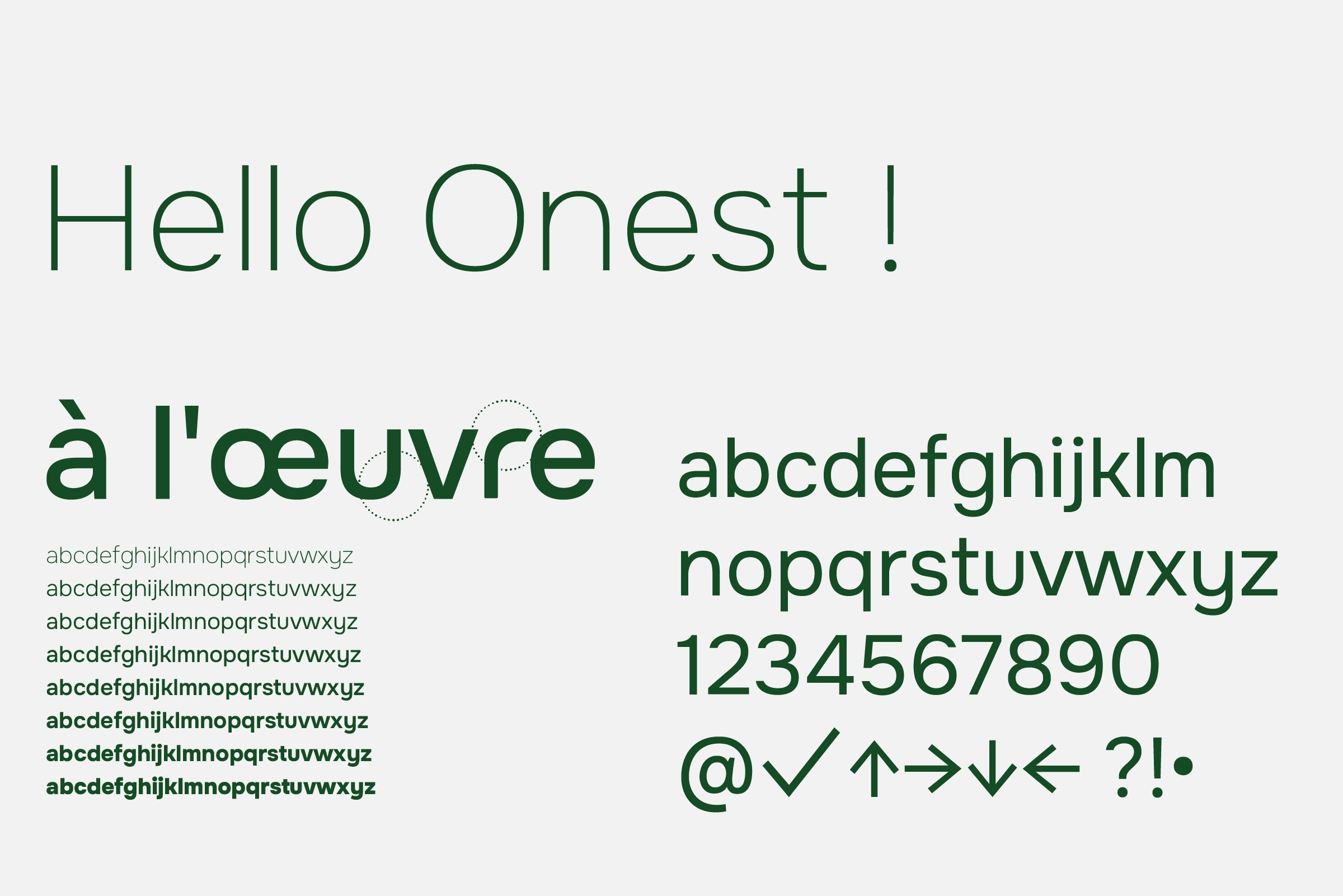 typographie a l'oeuvre par camille garnier graphiste