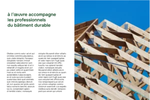 identité visuelle a l'oeuvre par camille garnier graphiste