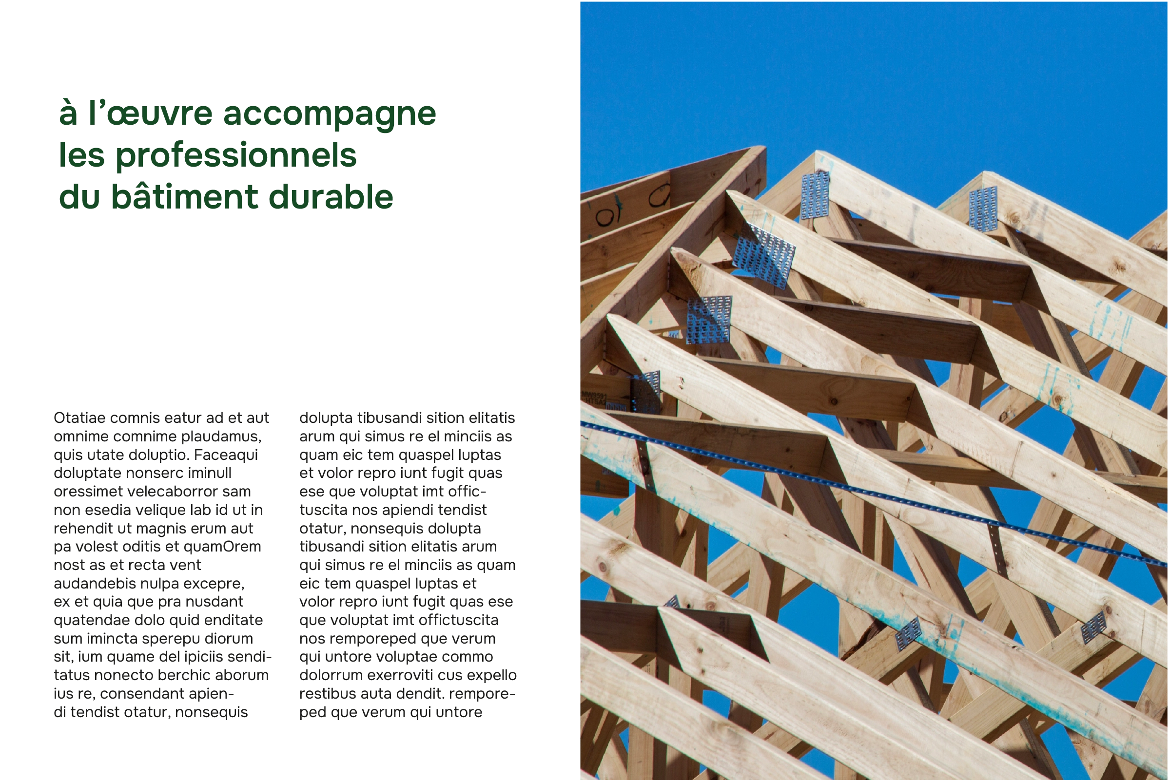 identité visuelle a l'oeuvre par camille garnier graphiste