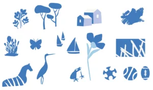 éléments graphiques visuels voeux aytré 2026