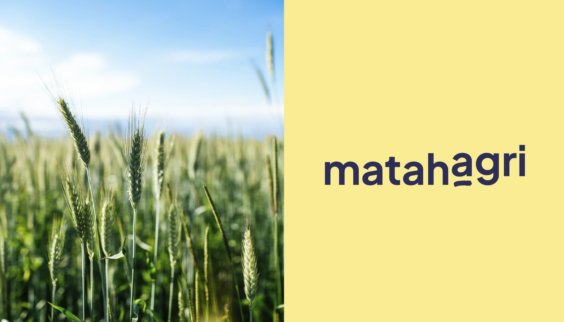 logo matahagri par camille garnier